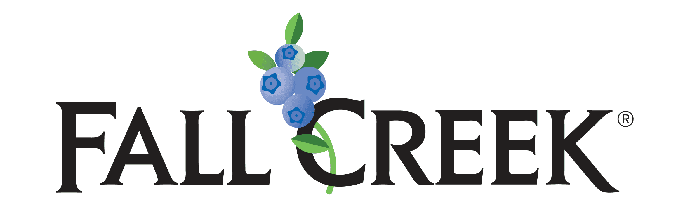 Fall Creek